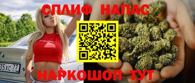 СК Ижевск