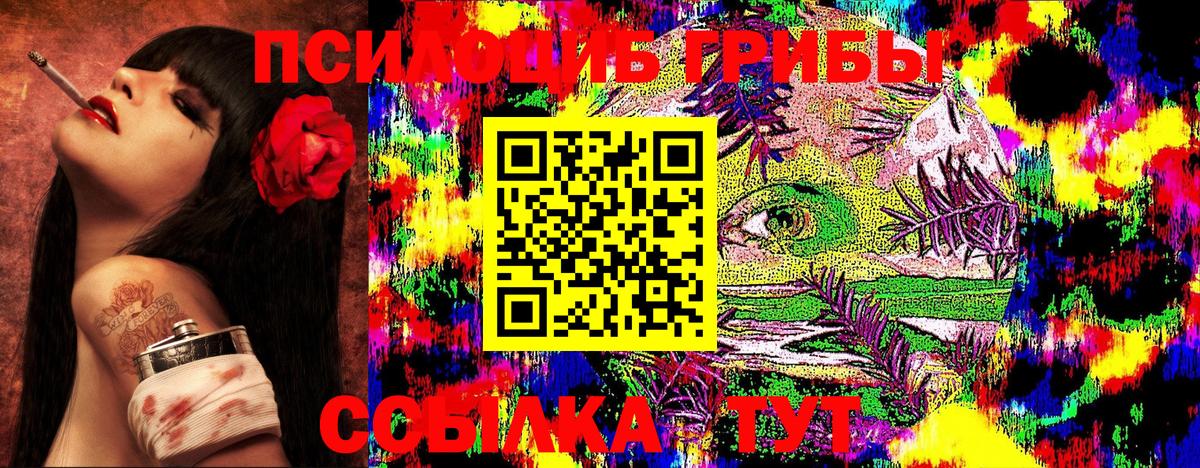 Большой Камень  наркотики  Вход с VPN  Псилоцибиновые грибы GOLDEN TEACHER 