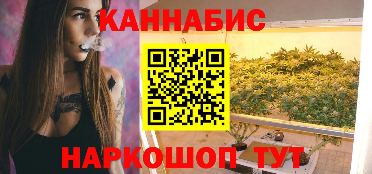 Канабис сатива  Вход с VPN  Каннабис марихуана  Большой Камень 